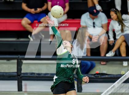 Thumbnail 1 in Prosper @ Lovejoy photogallery.