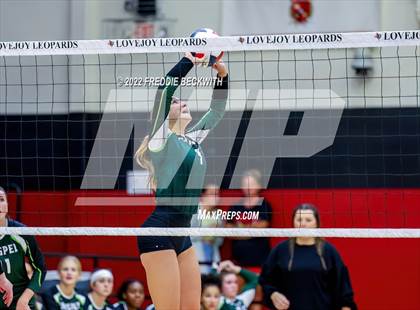 Thumbnail 2 in Prosper @ Lovejoy photogallery.