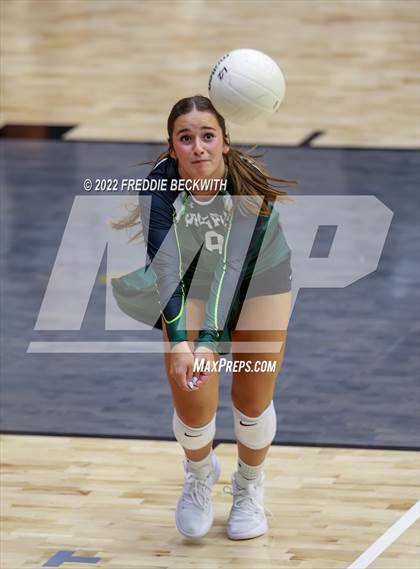 Thumbnail 3 in Prosper @ Lovejoy photogallery.