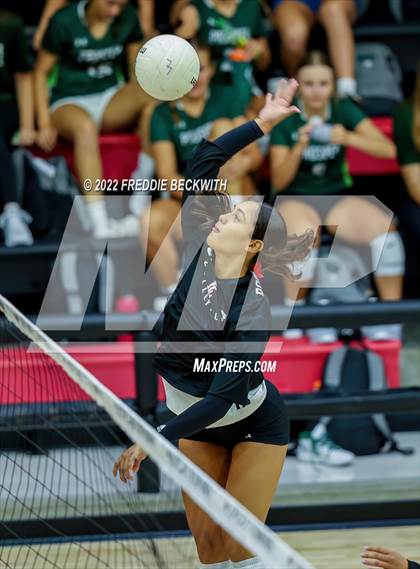 Thumbnail 1 in Prosper @ Lovejoy photogallery.