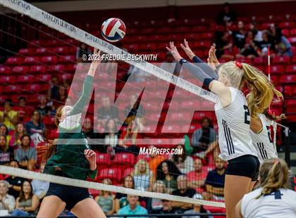 Thumbnail 2 in Prosper @ Lovejoy photogallery.