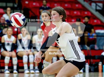 Thumbnail 1 in Prosper @ Lovejoy photogallery.