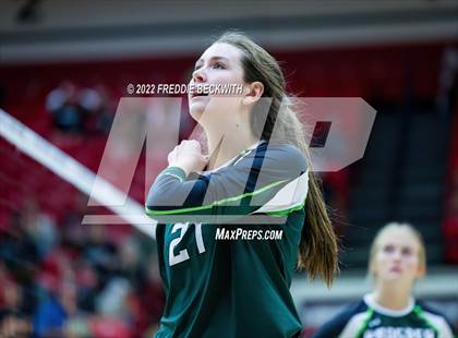 Thumbnail 2 in Prosper @ Lovejoy photogallery.