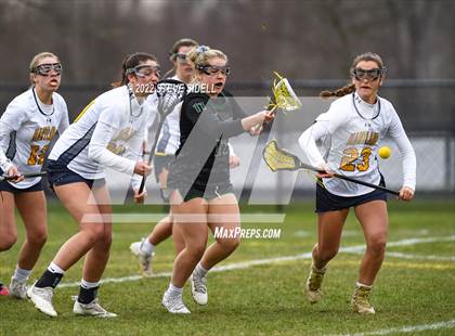 Thumbnail 2 in Hartland @ Novi photogallery.