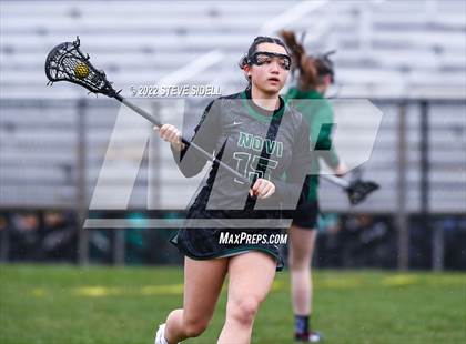Thumbnail 2 in Hartland @ Novi photogallery.