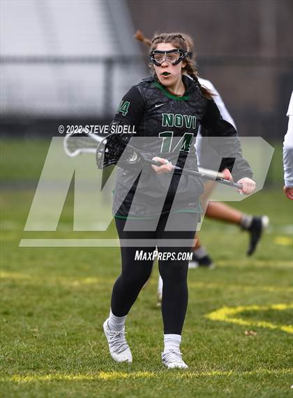 Thumbnail 3 in Hartland @ Novi photogallery.