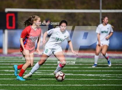 Thumbnail 3 in Harrison vs Walton photogallery.
