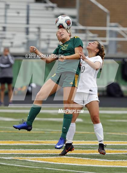 Thumbnail 3 in Fremd vs. Stevenson (IHSA 3A Regional Playoff) photogallery.
