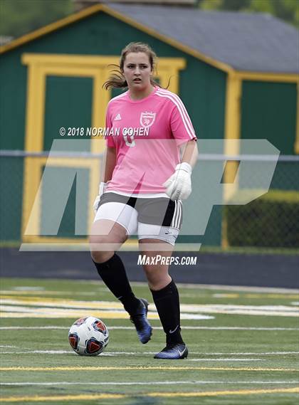 Thumbnail 2 in Fremd vs. Stevenson (IHSA 3A Regional Playoff) photogallery.