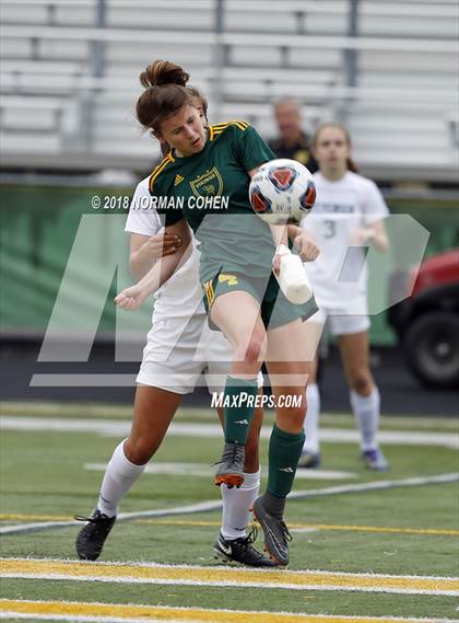 Thumbnail 2 in Fremd vs. Stevenson (IHSA 3A Regional Playoff) photogallery.