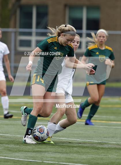 Thumbnail 2 in Fremd vs. Stevenson (IHSA 3A Regional Playoff) photogallery.