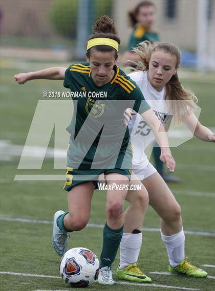 Thumbnail 2 in Fremd vs. Stevenson (IHSA 3A Regional Playoff) photogallery.