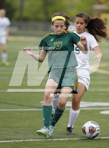 Thumbnail 2 in Fremd vs. Stevenson (IHSA 3A Regional Playoff) photogallery.