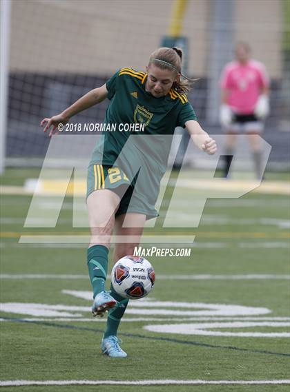 Thumbnail 1 in Fremd vs. Stevenson (IHSA 3A Regional Playoff) photogallery.