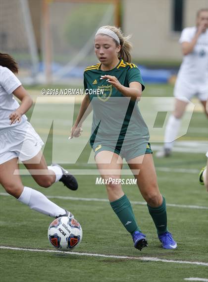 Thumbnail 3 in Fremd vs. Stevenson (IHSA 3A Regional Playoff) photogallery.