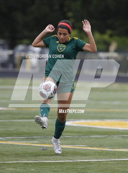 Thumbnail 2 in Fremd vs. Stevenson (IHSA 3A Regional Playoff) photogallery.