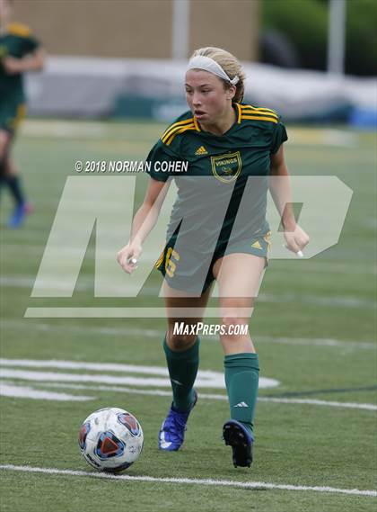 Thumbnail 1 in Fremd vs. Stevenson (IHSA 3A Regional Playoff) photogallery.