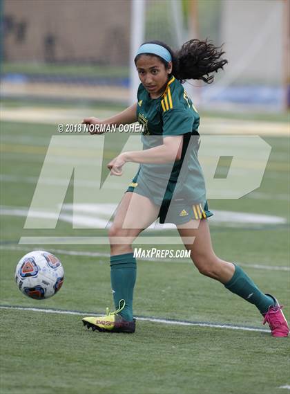 Thumbnail 1 in Fremd vs. Stevenson (IHSA 3A Regional Playoff) photogallery.