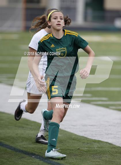Thumbnail 2 in Fremd vs. Stevenson (IHSA 3A Regional Playoff) photogallery.