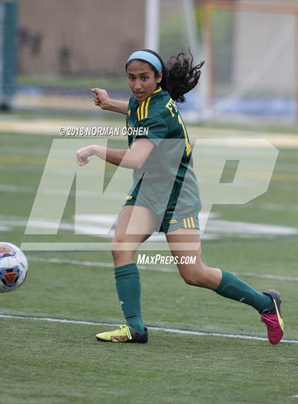 Thumbnail 2 in Fremd vs. Stevenson (IHSA 3A Regional Playoff) photogallery.