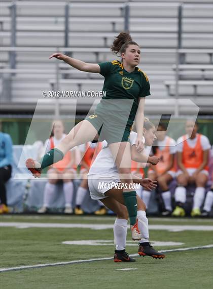 Thumbnail 1 in Fremd vs. Stevenson (IHSA 3A Regional Playoff) photogallery.