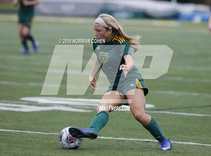 Thumbnail 2 in Fremd vs. Stevenson (IHSA 3A Regional Playoff) photogallery.
