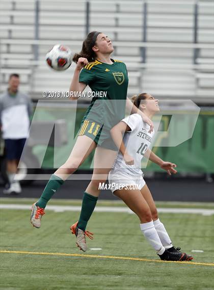 Thumbnail 1 in Fremd vs. Stevenson (IHSA 3A Regional Playoff) photogallery.