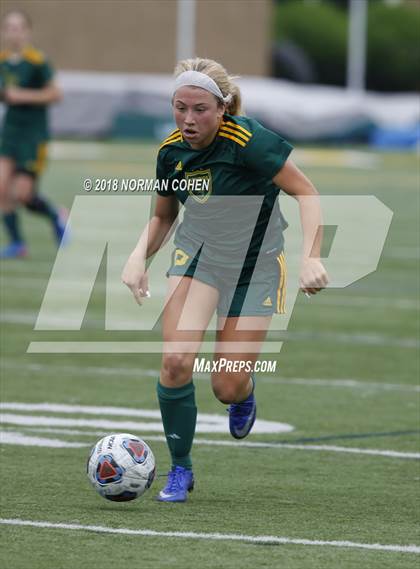 Thumbnail 2 in Fremd vs. Stevenson (IHSA 3A Regional Playoff) photogallery.