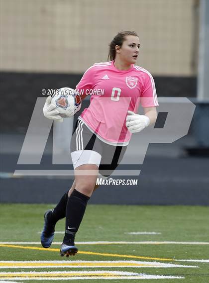 Thumbnail 2 in Fremd vs. Stevenson (IHSA 3A Regional Playoff) photogallery.