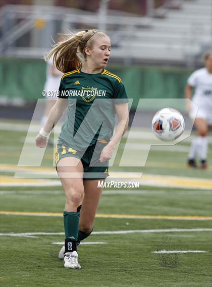 Thumbnail 2 in Fremd vs. Stevenson (IHSA 3A Regional Playoff) photogallery.
