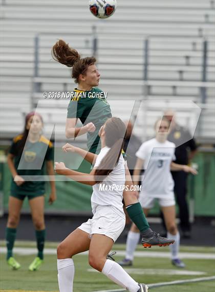 Thumbnail 1 in Fremd vs. Stevenson (IHSA 3A Regional Playoff) photogallery.