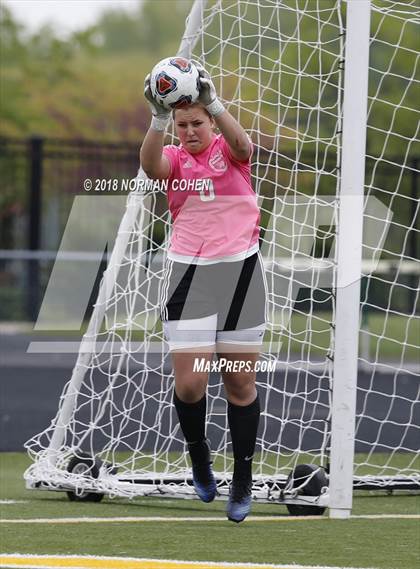 Thumbnail 3 in Fremd vs. Stevenson (IHSA 3A Regional Playoff) photogallery.