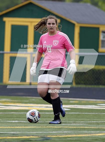 Thumbnail 1 in Fremd vs. Stevenson (IHSA 3A Regional Playoff) photogallery.