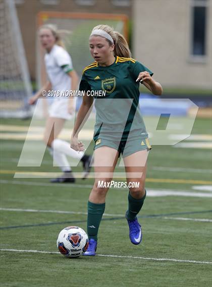 Thumbnail 1 in Fremd vs. Stevenson (IHSA 3A Regional Playoff) photogallery.