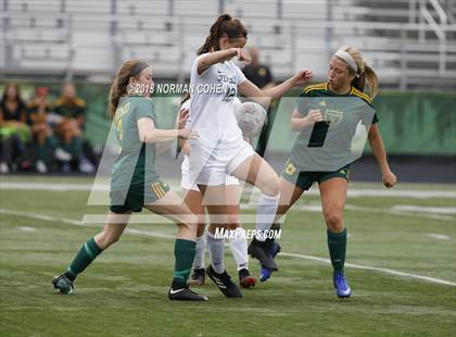 Thumbnail 1 in Fremd vs. Stevenson (IHSA 3A Regional Playoff) photogallery.