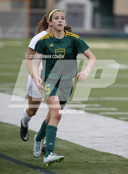 Thumbnail 1 in Fremd vs. Stevenson (IHSA 3A Regional Playoff) photogallery.