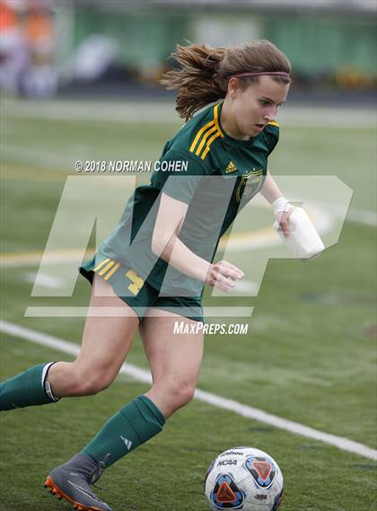 Thumbnail 1 in Fremd vs. Stevenson (IHSA 3A Regional Playoff) photogallery.