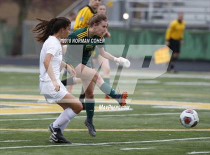 Thumbnail 1 in Fremd vs. Stevenson (IHSA 3A Regional Playoff) photogallery.