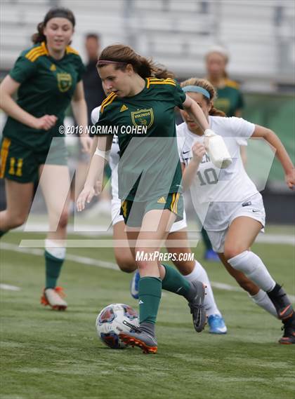Thumbnail 2 in Fremd vs. Stevenson (IHSA 3A Regional Playoff) photogallery.