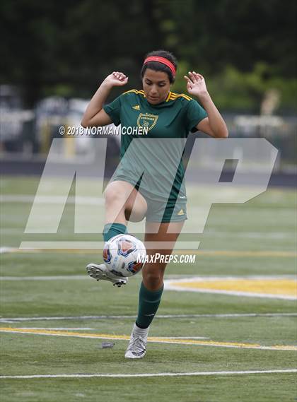 Thumbnail 1 in Fremd vs. Stevenson (IHSA 3A Regional Playoff) photogallery.