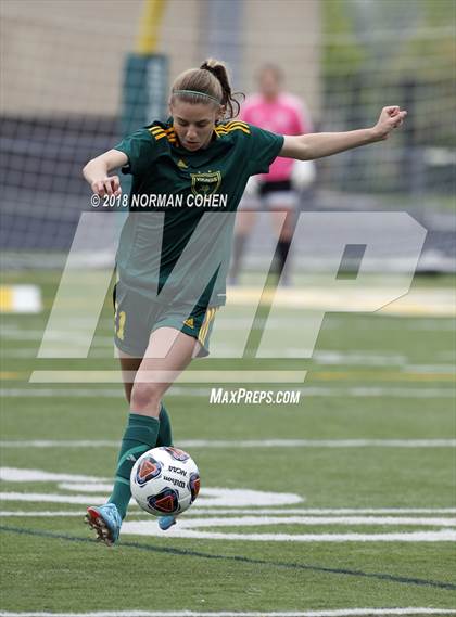Thumbnail 2 in Fremd vs. Stevenson (IHSA 3A Regional Playoff) photogallery.