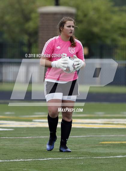 Thumbnail 3 in Fremd vs. Stevenson (IHSA 3A Regional Playoff) photogallery.