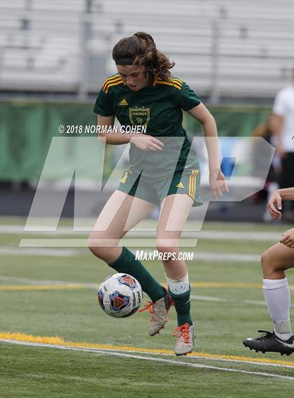 Thumbnail 2 in Fremd vs. Stevenson (IHSA 3A Regional Playoff) photogallery.