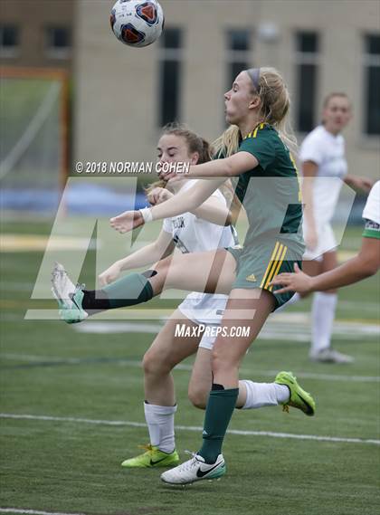 Thumbnail 1 in Fremd vs. Stevenson (IHSA 3A Regional Playoff) photogallery.