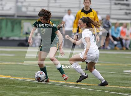 Thumbnail 1 in Fremd vs. Stevenson (IHSA 3A Regional Playoff) photogallery.