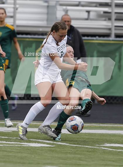 Thumbnail 1 in Fremd vs. Stevenson (IHSA 3A Regional Playoff) photogallery.