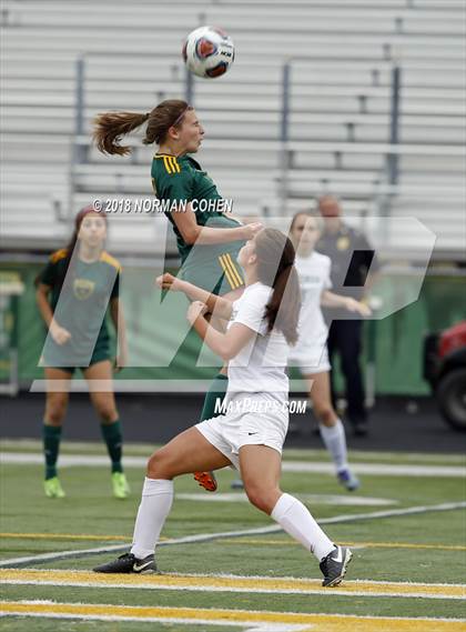 Thumbnail 3 in Fremd vs. Stevenson (IHSA 3A Regional Playoff) photogallery.