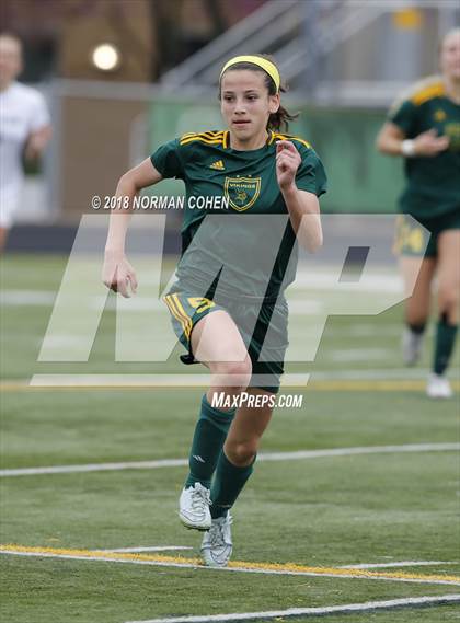 Thumbnail 1 in Fremd vs. Stevenson (IHSA 3A Regional Playoff) photogallery.