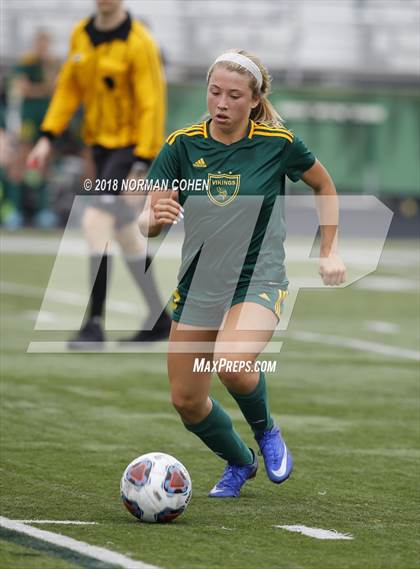 Thumbnail 1 in Fremd vs. Stevenson (IHSA 3A Regional Playoff) photogallery.