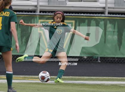 Thumbnail 2 in Fremd vs. Stevenson (IHSA 3A Regional Playoff) photogallery.